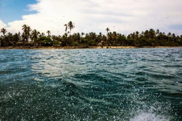 Planes en Isla Múcura